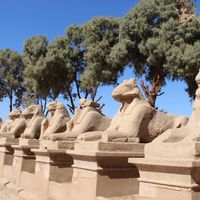Lithuanians in Egypt: Local bus trip to Luxor and Hurghada