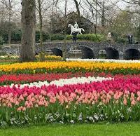 Keukenhof: A Spectacular Symphony of Tulips and Spring Magic