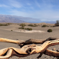 Death Valley Mesquite Dunes.  Driving to a Different California. US Southwest Trip Day 10 [POL/ENG]