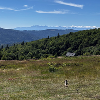 Szlak Tymbark - Nowy Targ, czyli całodzienny maraton (42,7km) przez Beskid Wyspowy i Gorce.