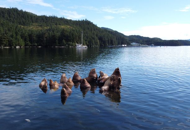 South Esther island Marine Park