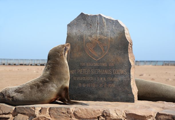 Hundred of seals getting together at Cape Cross, Namibia