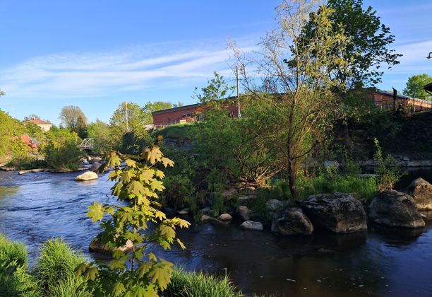 A Scenic Evening Walk to Vanhankaupunginkoski, Helsinki