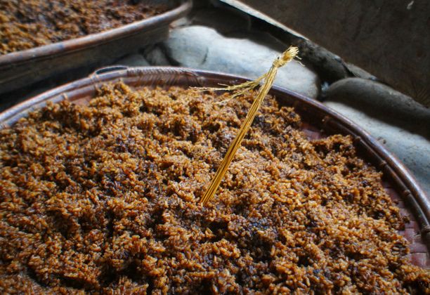 Batad Cultural Experience: How to Make Traditional Ifugao Rice Wine