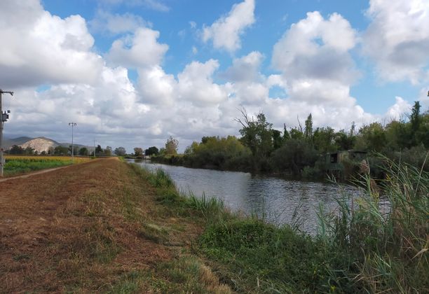 Lake Massaciuccoli