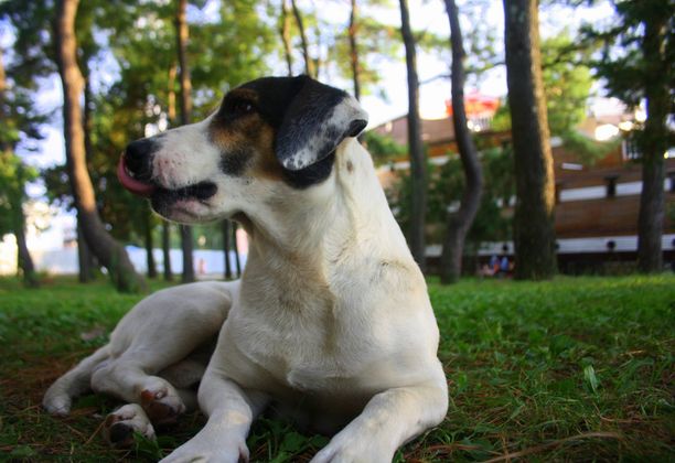 Journey around the world: Georgia (a.k.a. Sakartvelo)