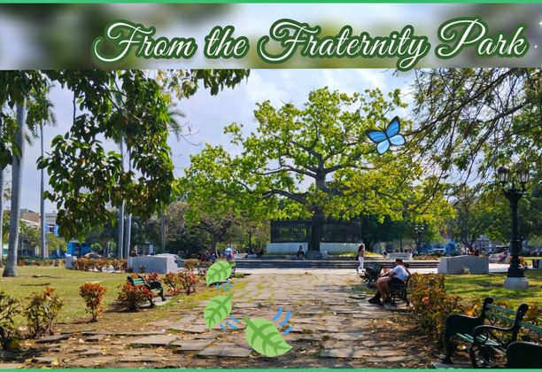 From the Fraternity Park