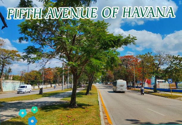 Five Avenue of Havana [EN/ES]