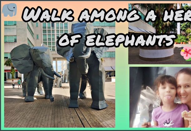 Walk among a herd of Elephants [EN/ES]