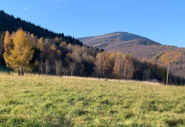 Skrzyczne z Lipowej Ostre. Wbrew nazwie, podejście spokojne a w tle złotopolska jesień.