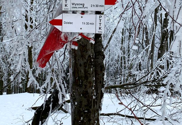 Korona Gór Polski: Lackowa, Beskid Niski