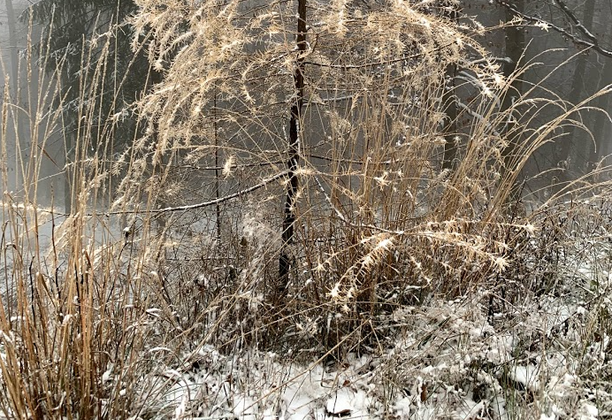 Korona Gór Polski: Czupel, Beskid Mały