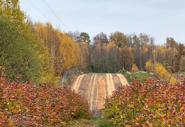 Korona Gór Polski: Łysica, Góry Świętokrzyskie