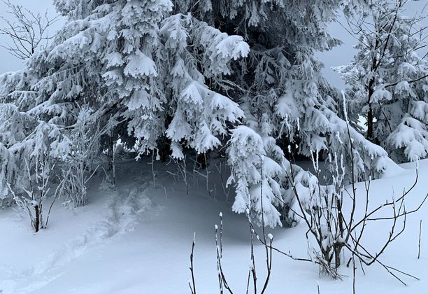 Trzy Korony i Lubań: Pieniny i Gorce na pożegnanie Zimy.