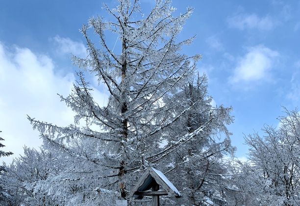 Marzec 2021 na szlakach. Trzy zimowe wyprawy w Gorce, Pieniny i Beskid Wyspowy