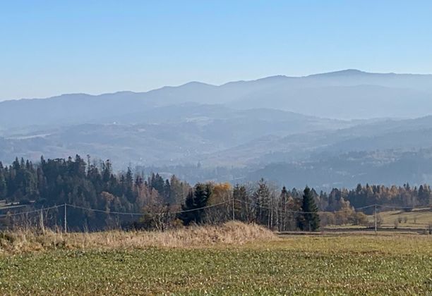 Więcej pisania niż zdobywania: Bukowiński Wierch. A mountain with more writing than hiking.[PL/EN]  