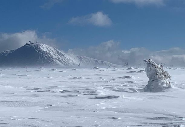 Piękna i bestia - Śnieżka i wiatr. Beauty and the Beast - Snow Mountain and Wind. [POL / ENG]