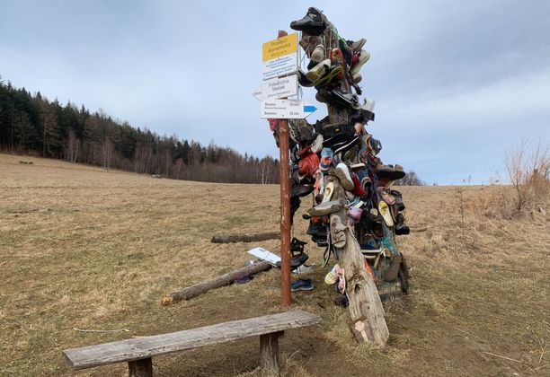 Pięć szczytów w Górach Kaczawskich konkuruje o miano najwyższego. Cztery w godzinę i piąty na deser.