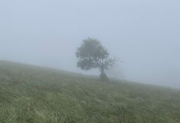 Partyzant, baca i zbójnik. Zamglone Gorce bez panoram ale za to pełne tajemnic.