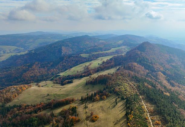 Pieniny Małe z wysoka. Homole, Wysoka i złoto-polsko-jesienny spacer przez Durbaszkę do Szczawnicy.