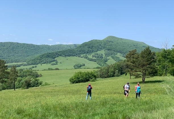 Pani Lackowa i Pan Busov. Dwa najwyższe szczyty Beskidu Niskiego i... poezja Wincentego Pola.