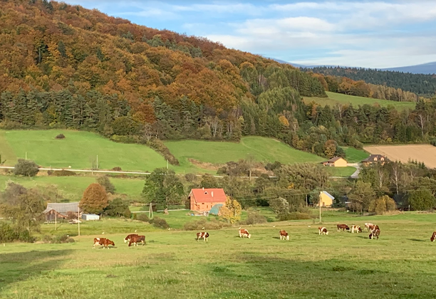 Taki jest Beskid Niski. Cerkiew, cmentarz wojenny, las, wyrypa, błoto i nieistniejąca wioska.