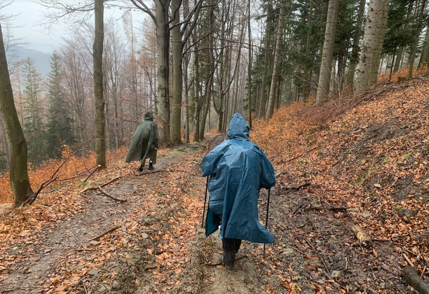 Wyrypa w Beskidzie Małym? Żółty szlak im. Frysiów: Rzyki - Madohora - Jawornica - Kiczera - Porąbka.