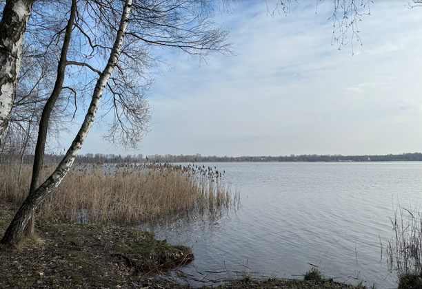 Szlak 25-lecia PTTK. Odcinek 3: Dąbrowa Górnicza Pogoria III - Sosnowiec Kazimierz Górniczy Park.