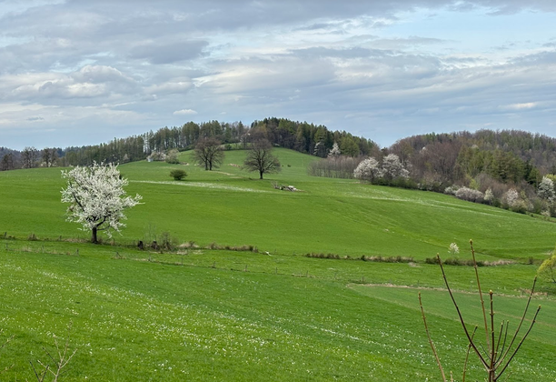 Czantoria Wielka i Niespodzianka. Pociąg w góry: Ustroń Polana - Czantoria - Tuł - Goleszów.