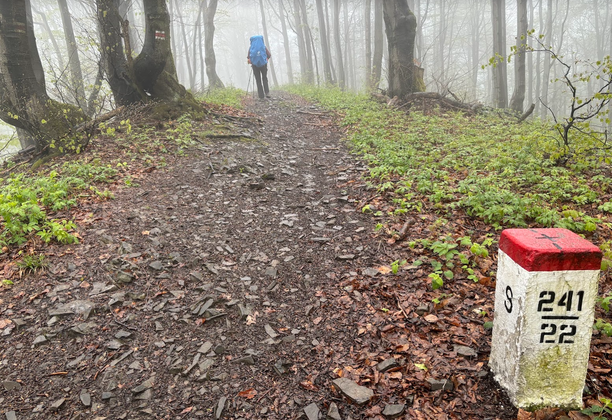 Zielony szlak Wincentego Pola. Odcinek 3: Wysowa-Zdrój - Krynica-Zdrój. Czerwony szlak na zielonym.