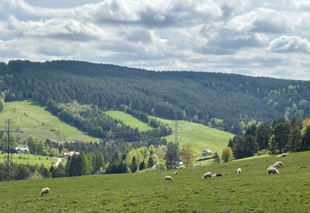 Zielony szlak Wincentego Pola. Odcinek 4: Krynica-Zdr - Muszyna. Zima na Jaworzynie, lato w Muszynie