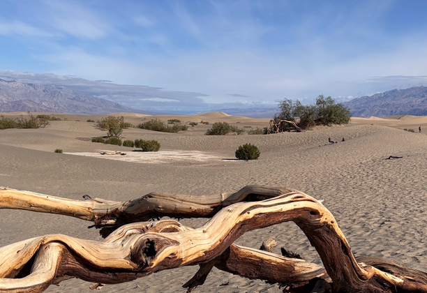 Death Valley Mesquite Dunes.  Driving to a Different California. US Southwest Trip Day 10 [POL/ENG]