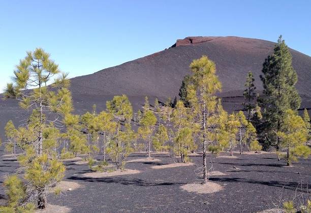La Montaña Negra - An Amazing Hike Through Amazing Volcanic Landscapes - Tenerife - Canary