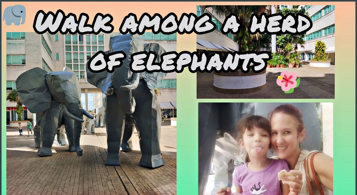 Walk among a herd of Elephants [EN/ES]