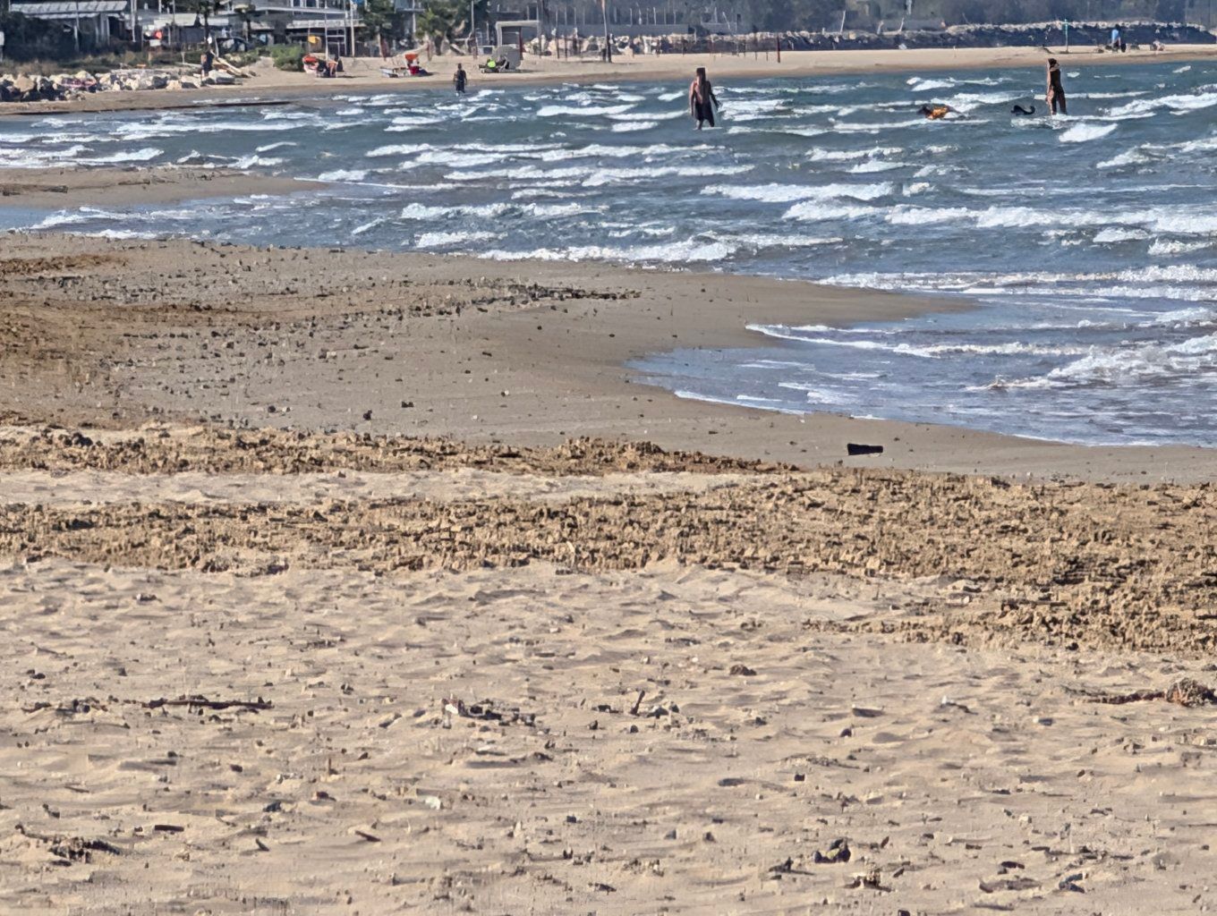 PHOTO: waves and bathers along the shore
