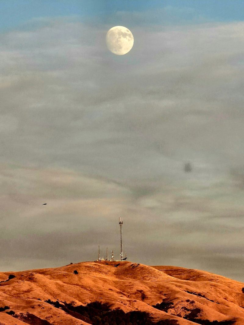 Mount Allison, Fremont, California, USA