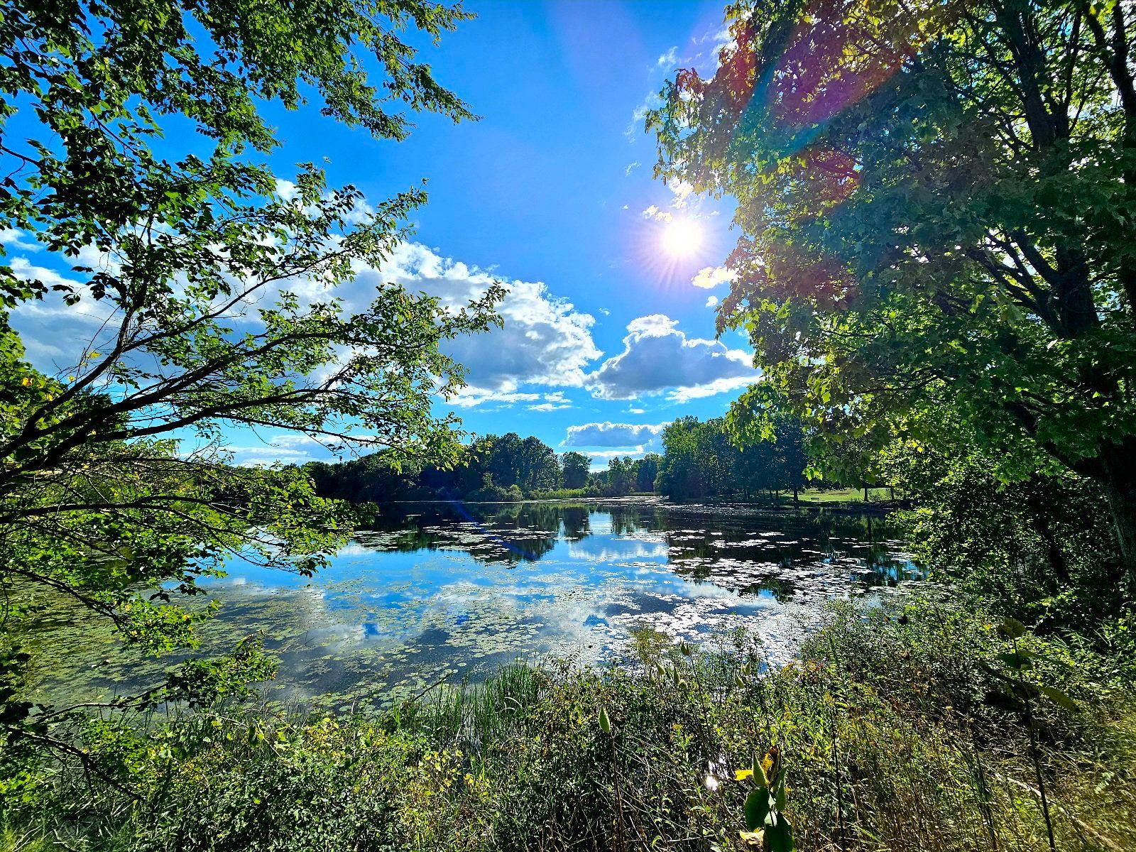 Kensington Metropark,  Milford, Michigan, USA