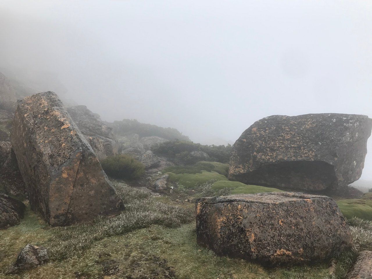 A flat rocky summit plateau of scattered boulders and green cushion plants, surrounded on all sides by dense white cloud