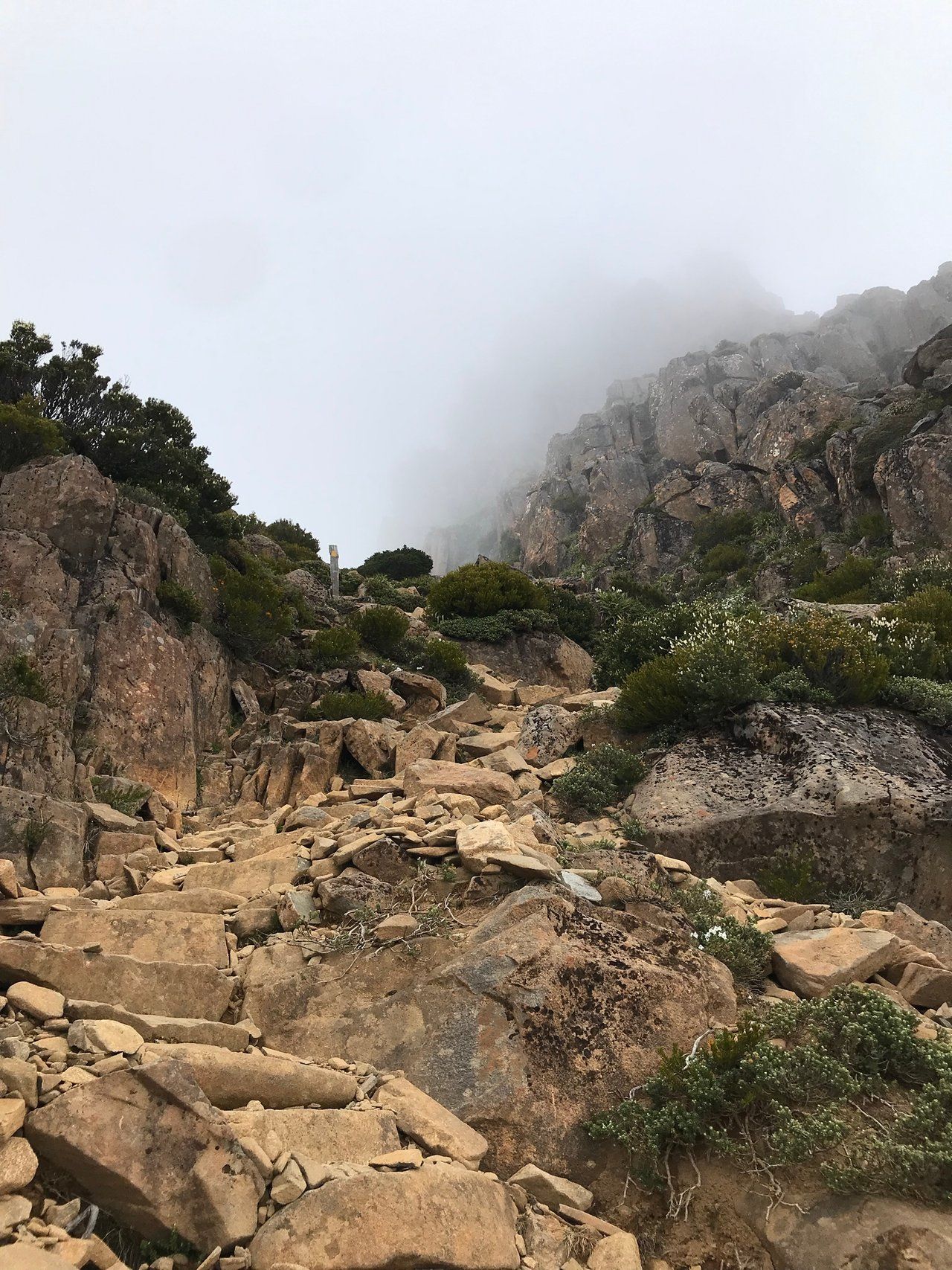 A rocky eroded footpath climbing steeply between low alpine scrub, with a wooden track marker post and cliffs disappearing into thick cloud above