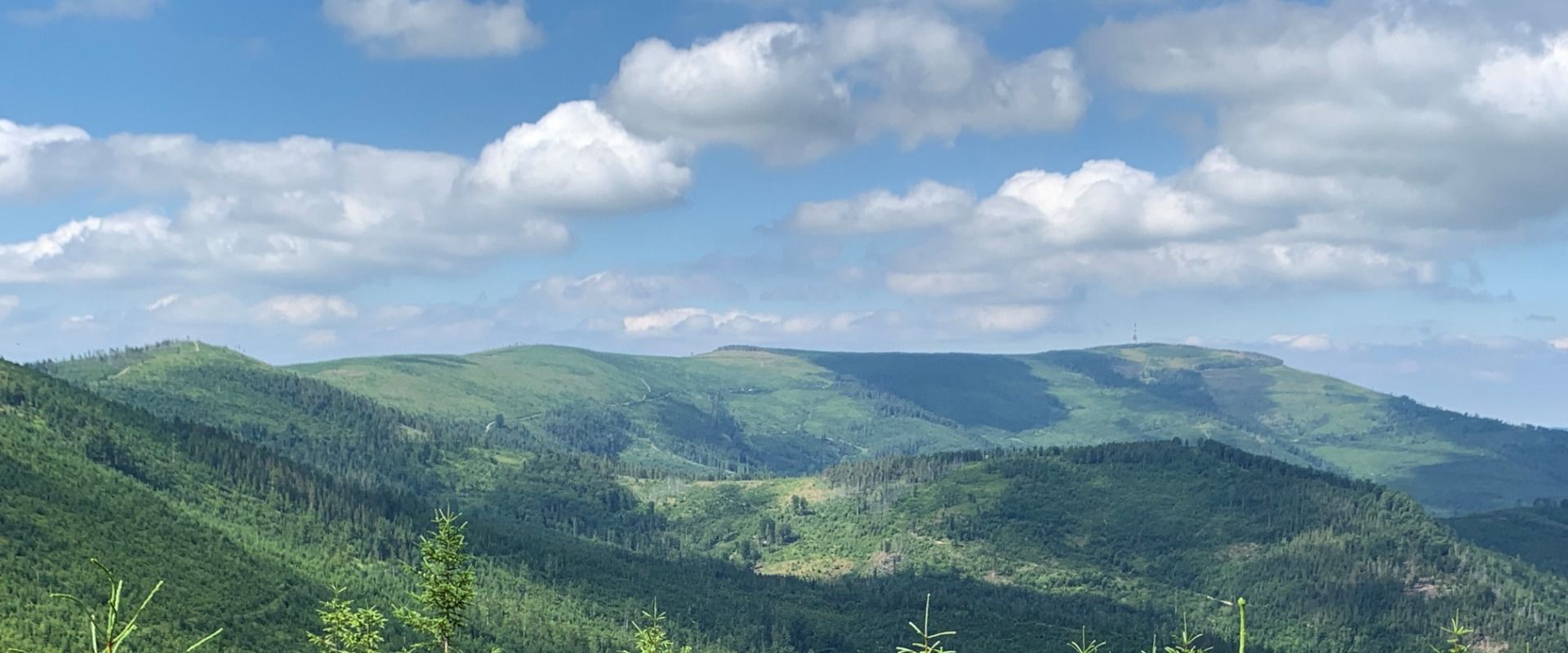 Początek Wisły - źródło Malinki. Leśna sztuka, suche źródło i... monumenty jak z Rapa Nui.