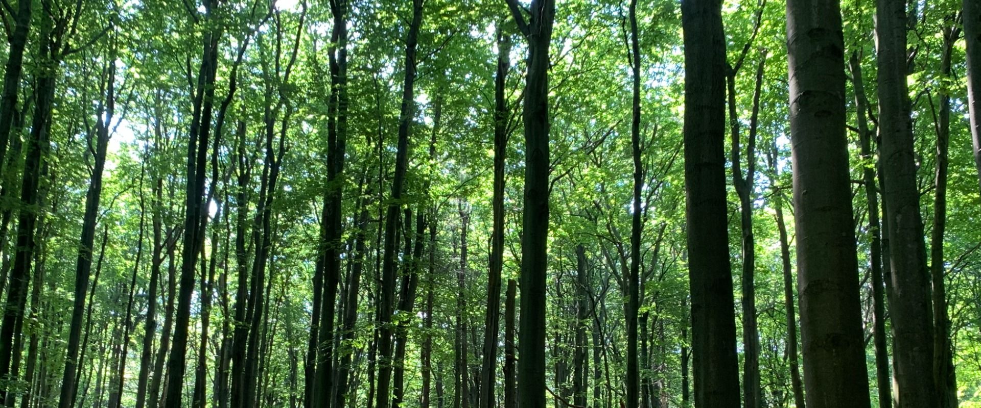 Wątkowa - esencja przyjemności wędrowania. Co robić po drodze w Bieszczady i czym się różni U od Ó.