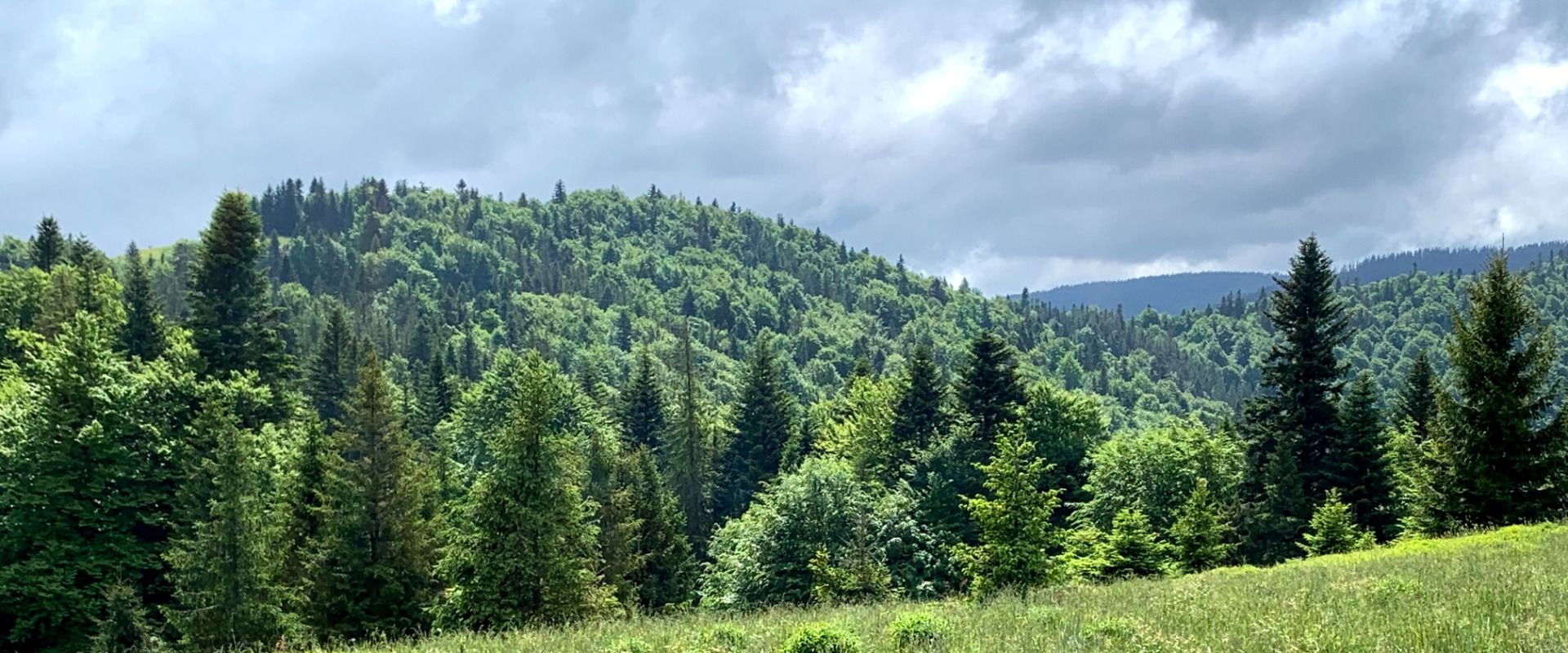 Gorce tylko dla nas (prawie). A lone (almost) hike in the Gorce mts. Vege the Polish way [PL/EN]