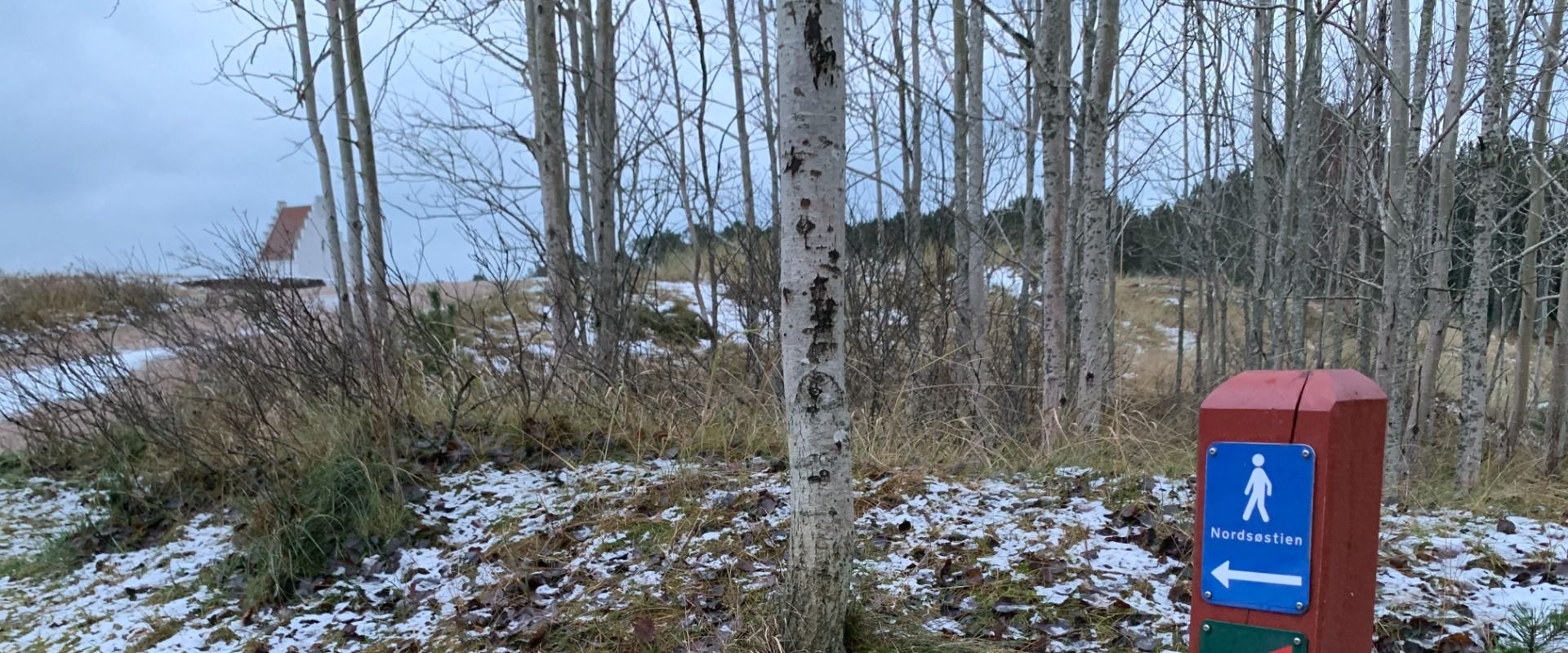 På toppen af Danmark / Hiking at the top of Denmark / Wyprawa na koniec Danii [EN/PL]. Part/Część 1