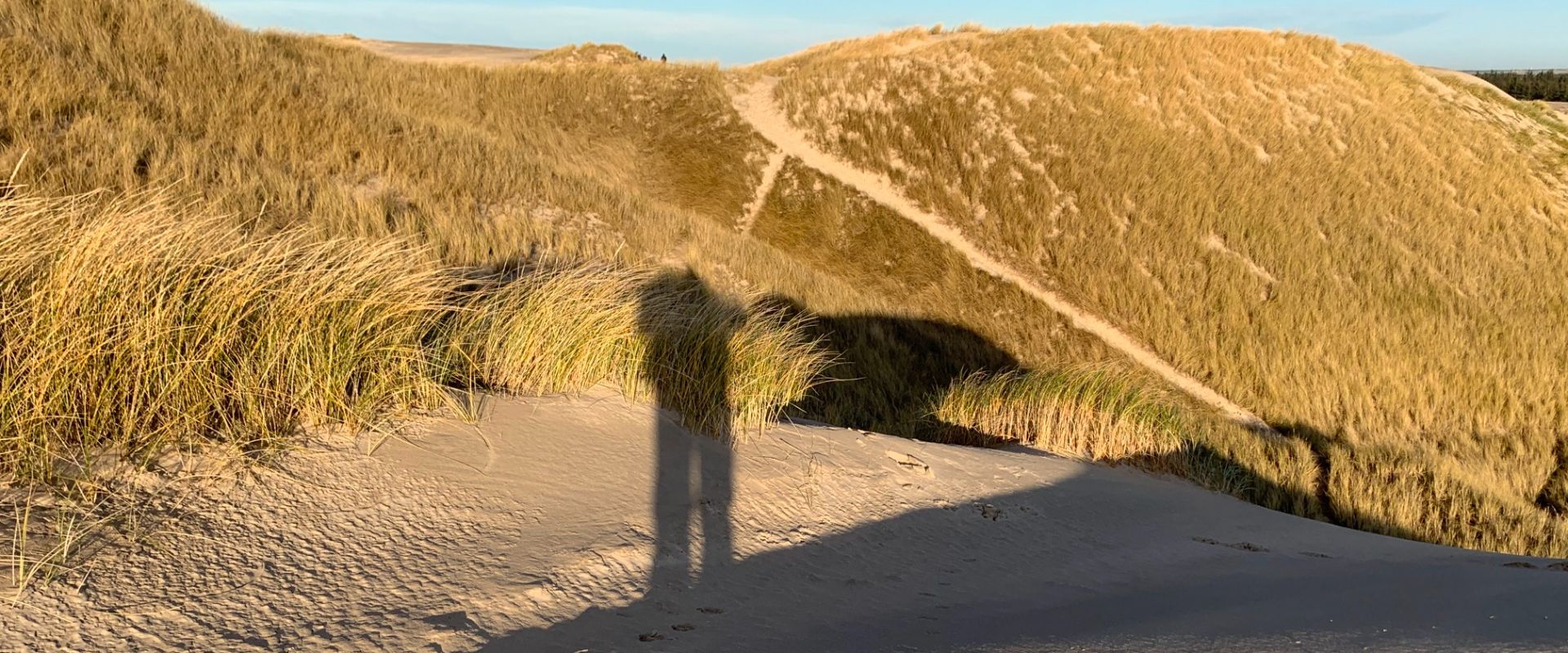 "Råbjerg Mile" Migrating Dunes & North Sea Trail. Wędrujące wydmy i szlak Morza Północnego. [EN/PL]