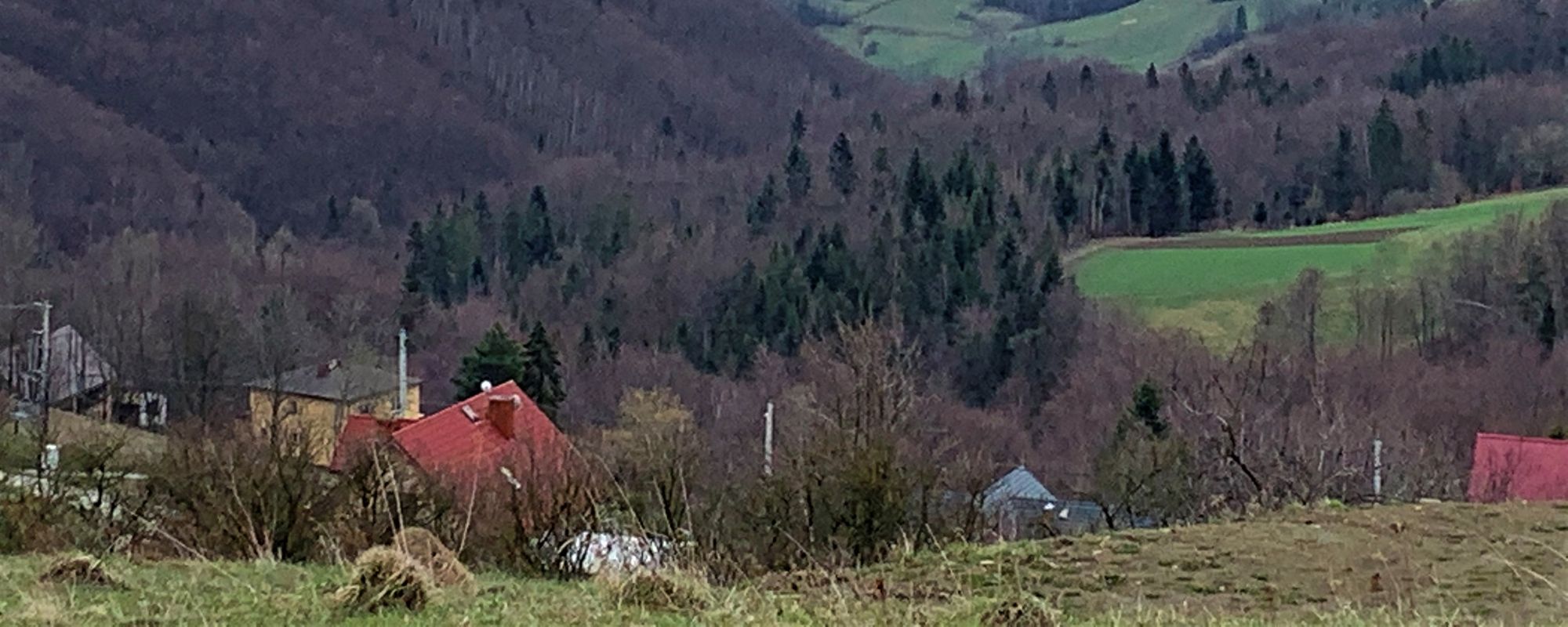 Tour de Beskid Wyspowy: Modyń, Kamionna, Ciecień. Przyszła Wiosna.