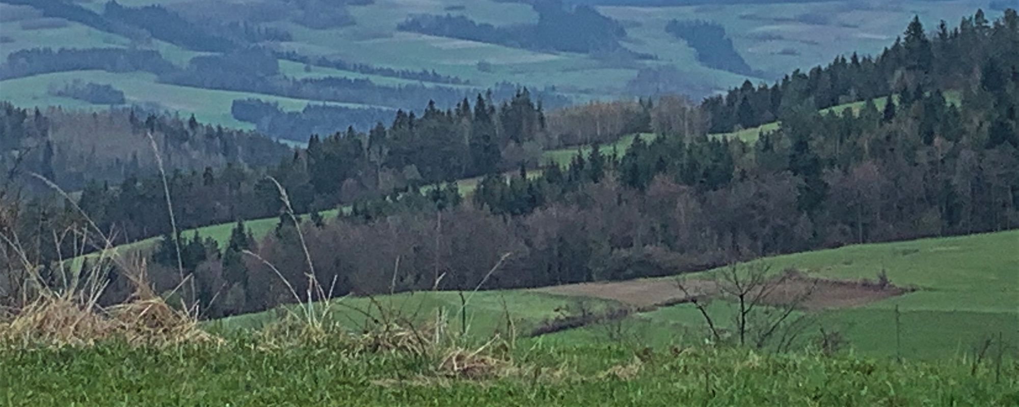 Tour de Beskid Wyspowy cz.2: Lubogoszcz i Szczebel. Wiosna, ale Zima jeszcze śniegiem postraszyła.