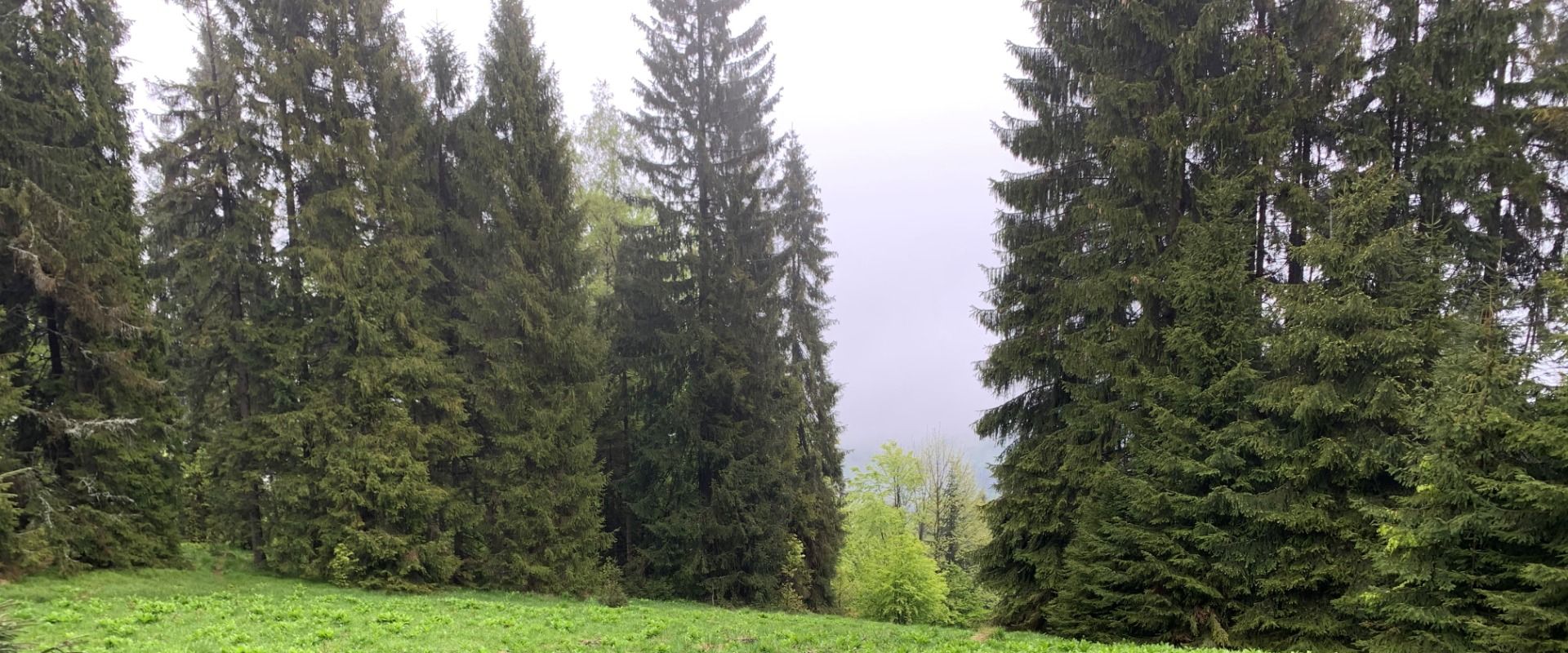 Fifty shades of green: Beskid Mały - Łamana Skała, Chatka pod Potrójną i Leskowiec.