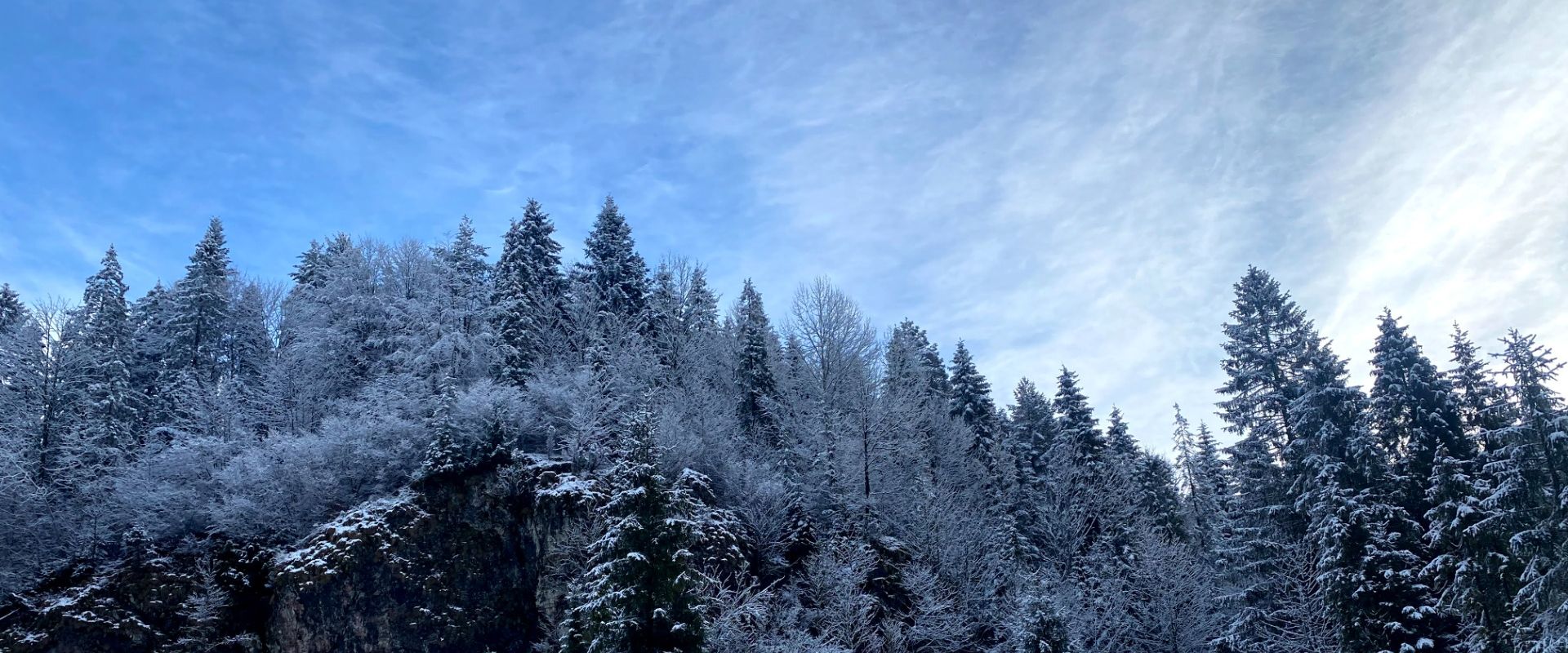 Korona Gór Polski: Wysoka, Pieniny