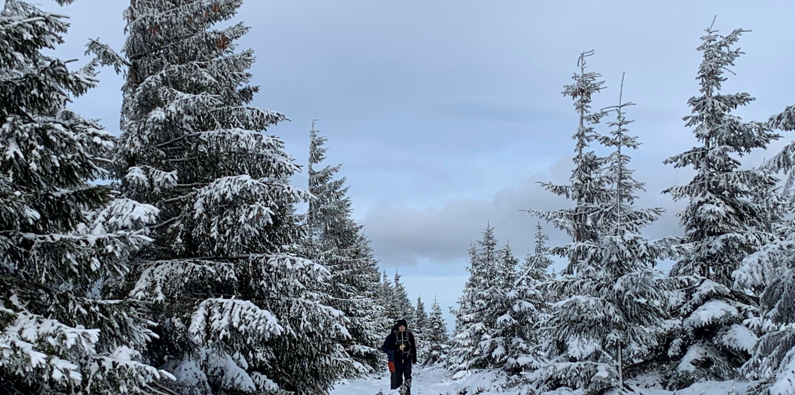 Mt. Śnieżka in Winter. Sudecki Diadem i Korona - dzień 2a: Zimowe wejście na Śnieżkę [ENG / POL]