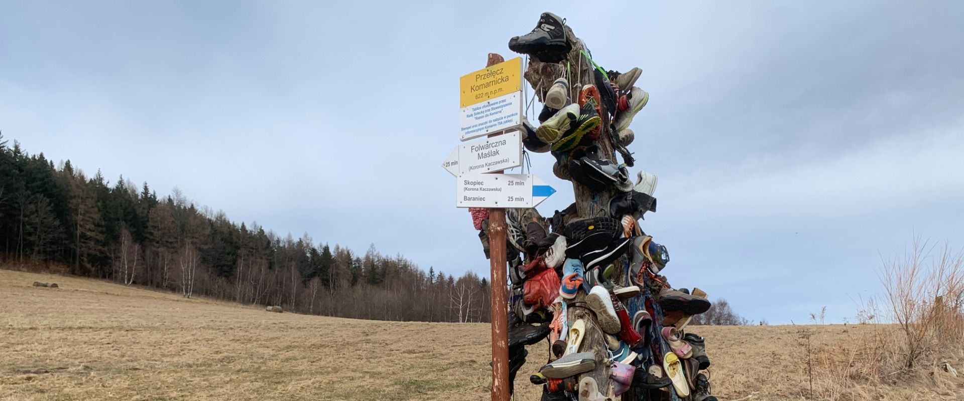 Pięć szczytów w Górach Kaczawskich konkuruje o miano najwyższego. Cztery w godzinę i piąty na deser.